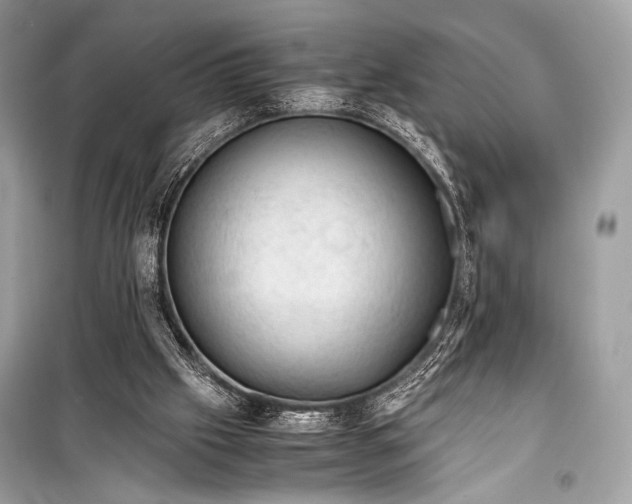 X0000099290057200805161335