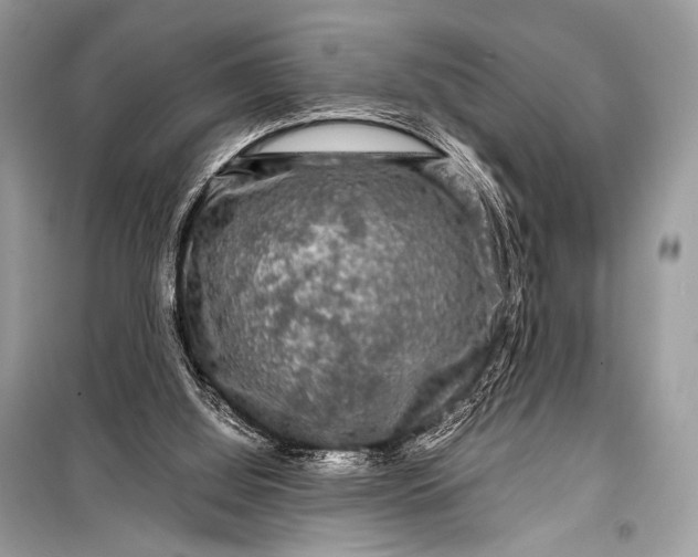 X0000099290060200805161335