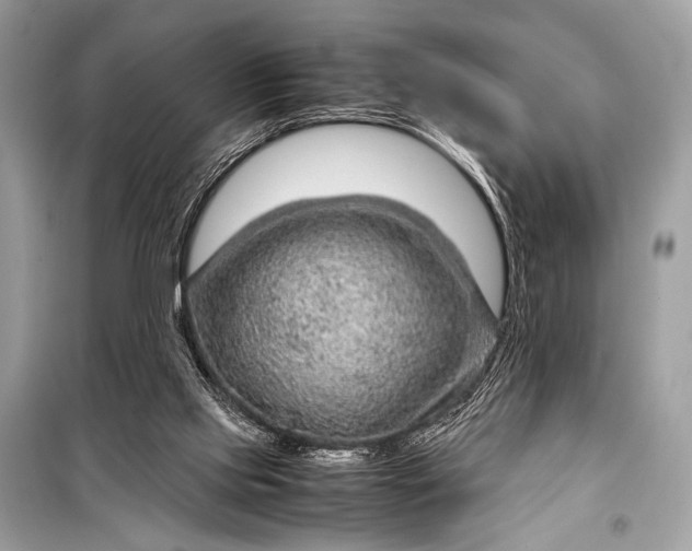 X0000099290061200805161335