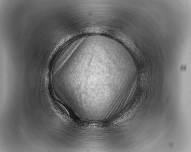 X0000099290064200805161335