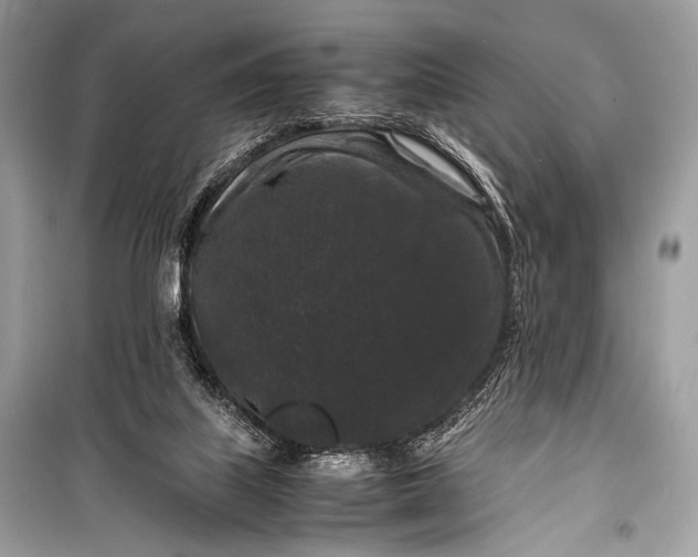 X0000099290067200805161335