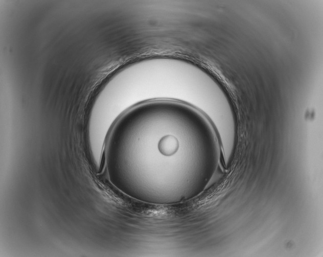 X0000099290068200805161335