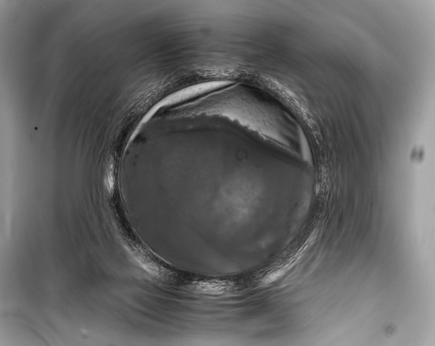 X0000099290069200805161335