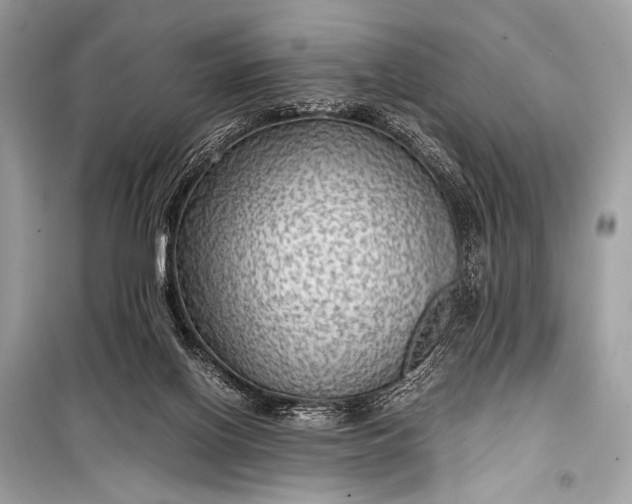 X0000099290070200805161335