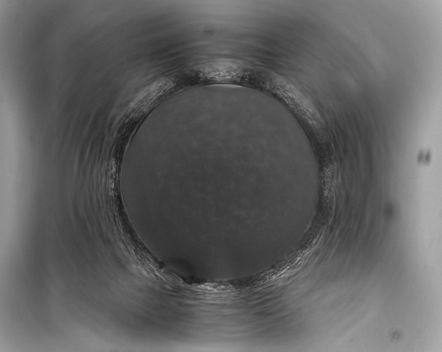 X0000099290073200805161335