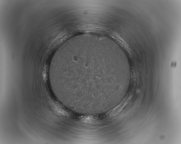 X0000099290074200805161335