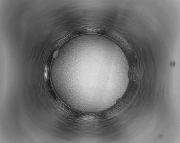 X0000099290075200805161335