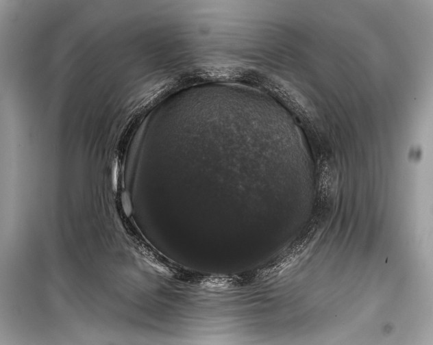 X0000099290076200805161335