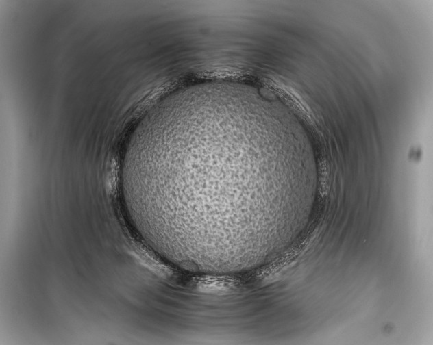 X0000099290077200805161335