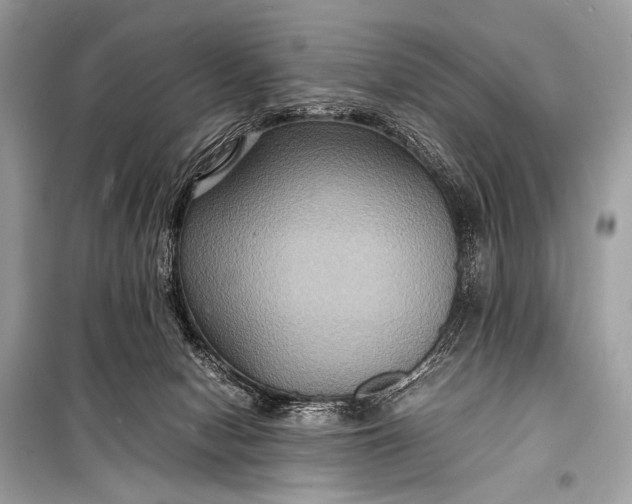 X0000099290078200805161335