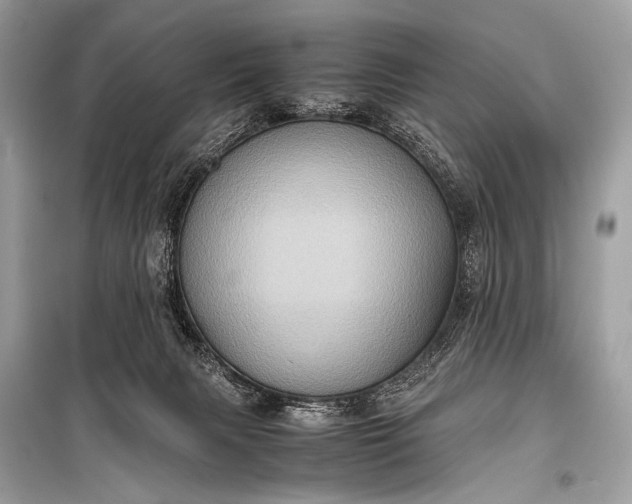 X0000099290079200805161335