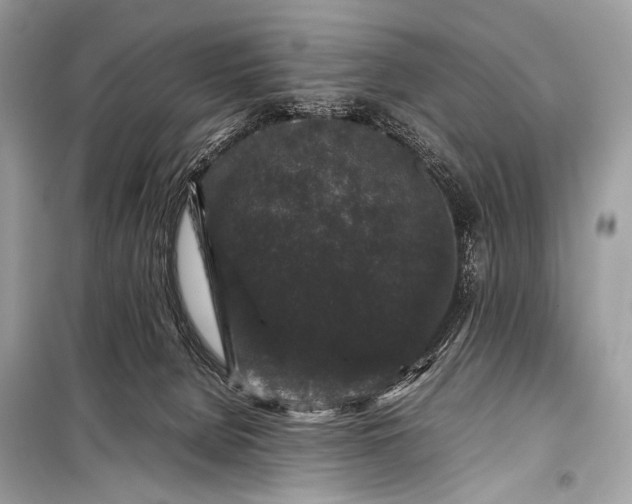 X0000099290080200805161335