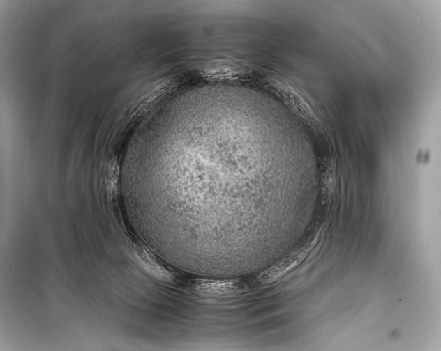 X0000099290081200805161335