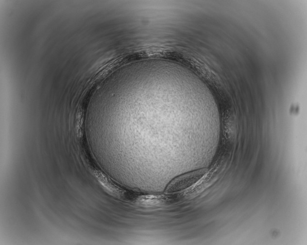 X0000099290082200805161335