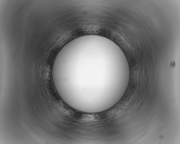 X0000099290083200805161335