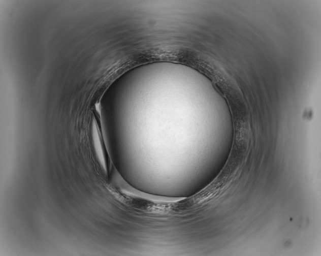 X0000099290084200805161335