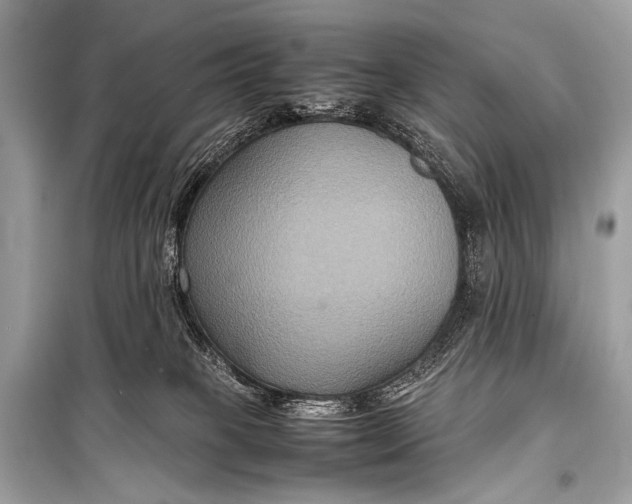 X0000099290085200805161335