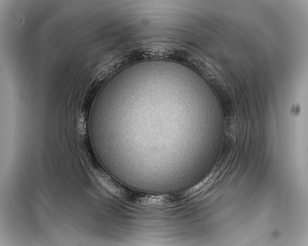 X0000099290086200805161335