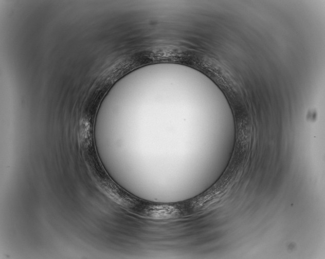 X0000099290087200805161335