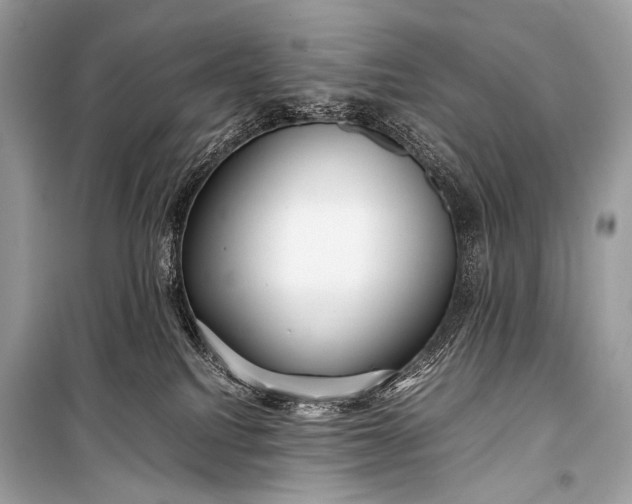 X0000099290088200805161335