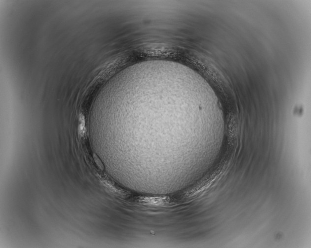 X0000099290089200805161335