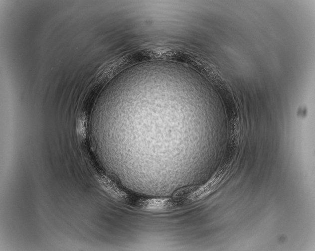 X0000099290090200805161335