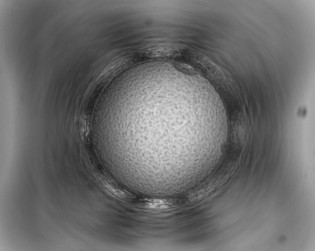 X0000099290091200805161335