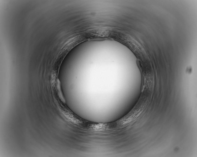 X0000099290092200805161335