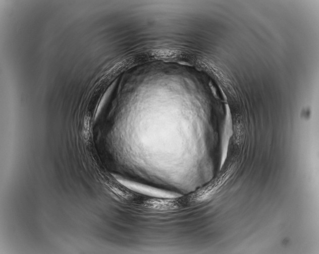 X0000099290093200805161335