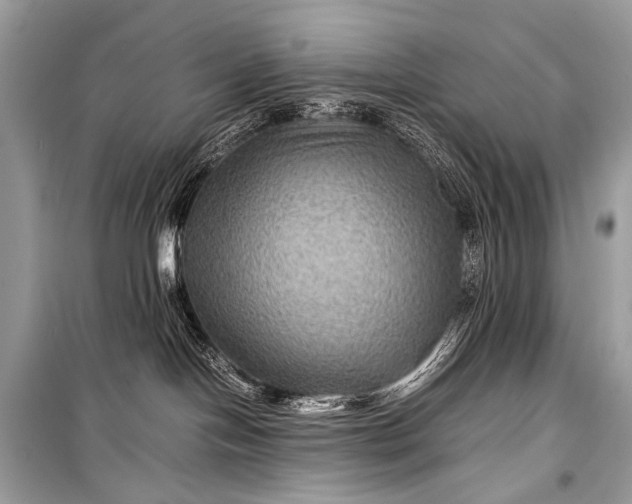 X0000099290094200805161335