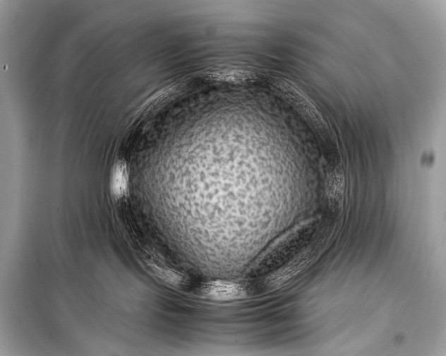 X0000099290095200805161335