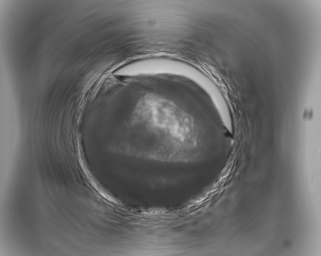 X0000099290097200805161335