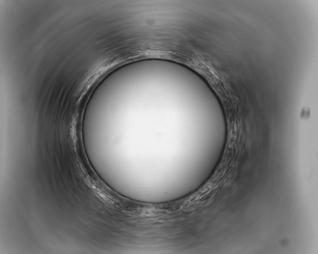 X0000099290098200805161335