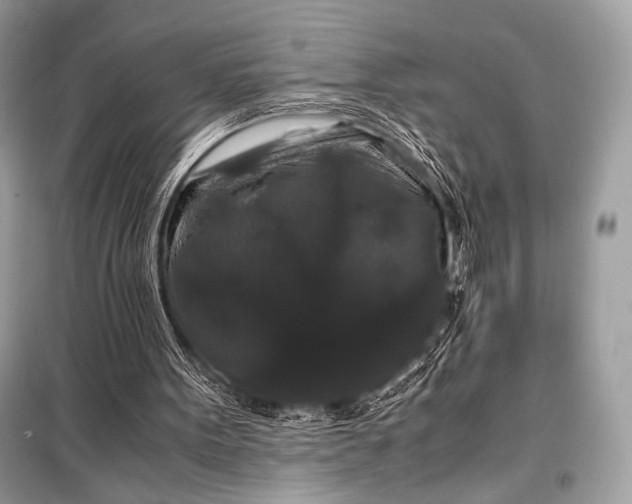 X0000099290099200805161335