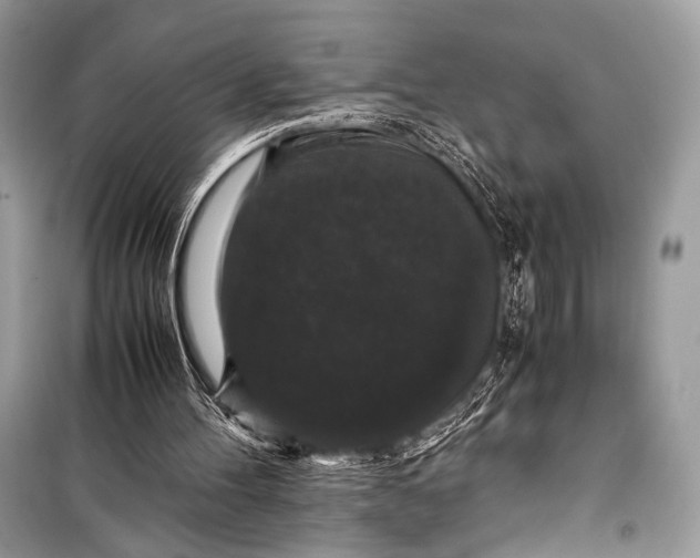 X0000099290100200805161335