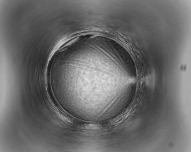 X0000099290102200805161335