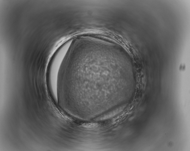 X0000099290104200805161335