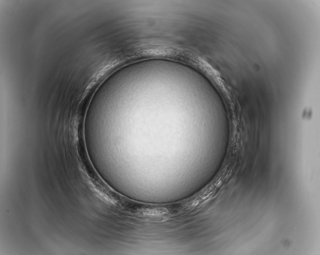 X0000099290106200805161335