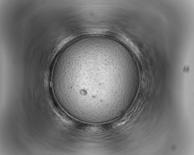 X0000099290107200805161335