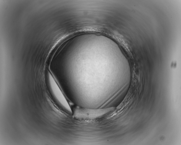 X0000099290108200805161335