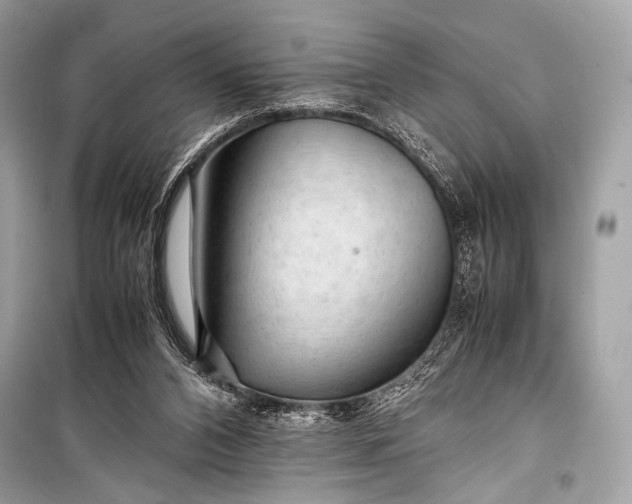 X0000099290112200805161335