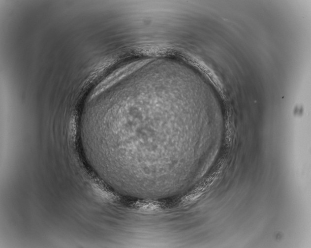 X0000099290113200805161335