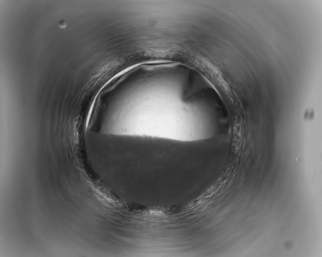 X0000099290114200805161335