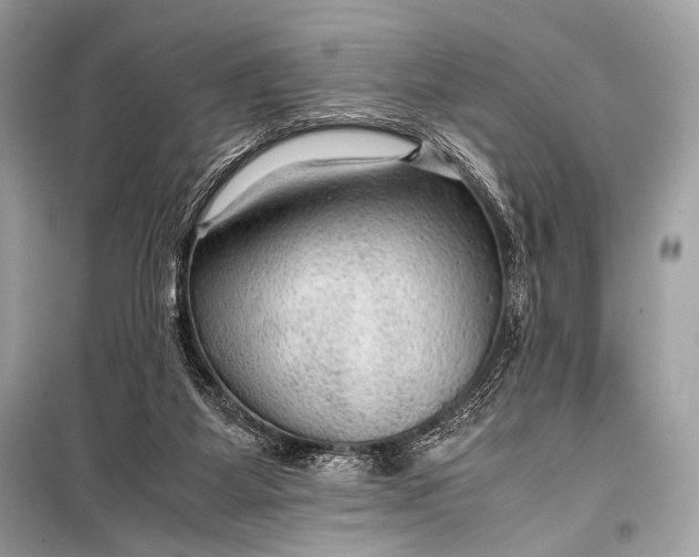 X0000099290115200805161335