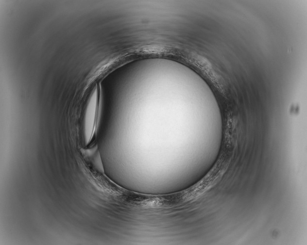 X0000099290116200805161335