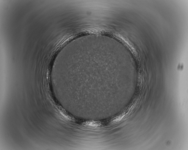 X0000099290117200805161335