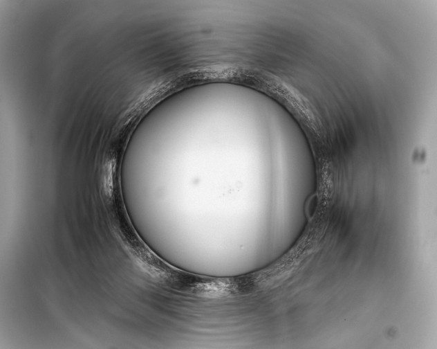 X0000099290118200805161335