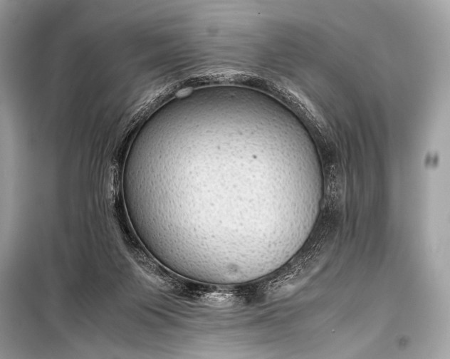 X0000099290119200805161334