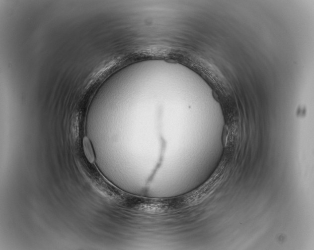 X0000099290120200805161334