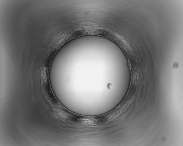 X0000099290121200805161334